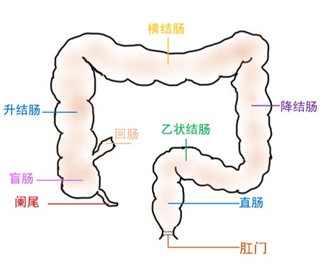 器官保留疗效好让患者绝处逢生ag旗舰厅平台内镜超级微创：(图2)